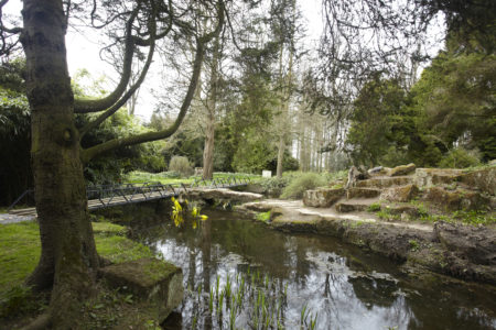 Newby Hall Gardens
