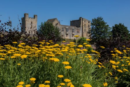 Helmsley Walled Garden and castle July 2
